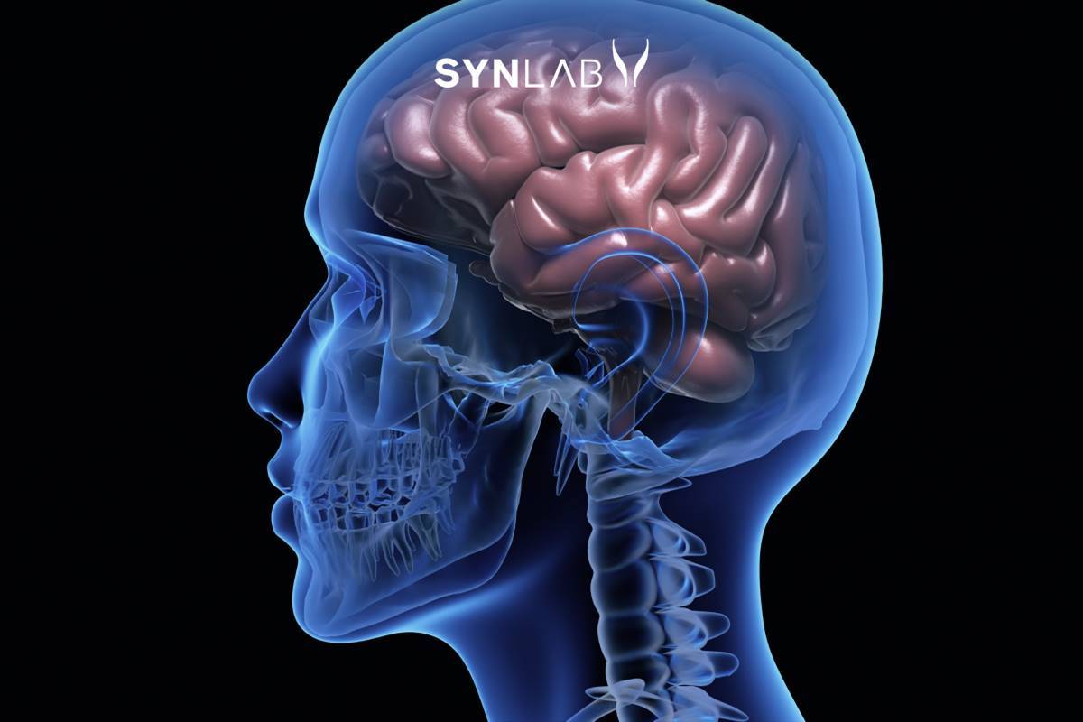 omega 3 salud cerebral