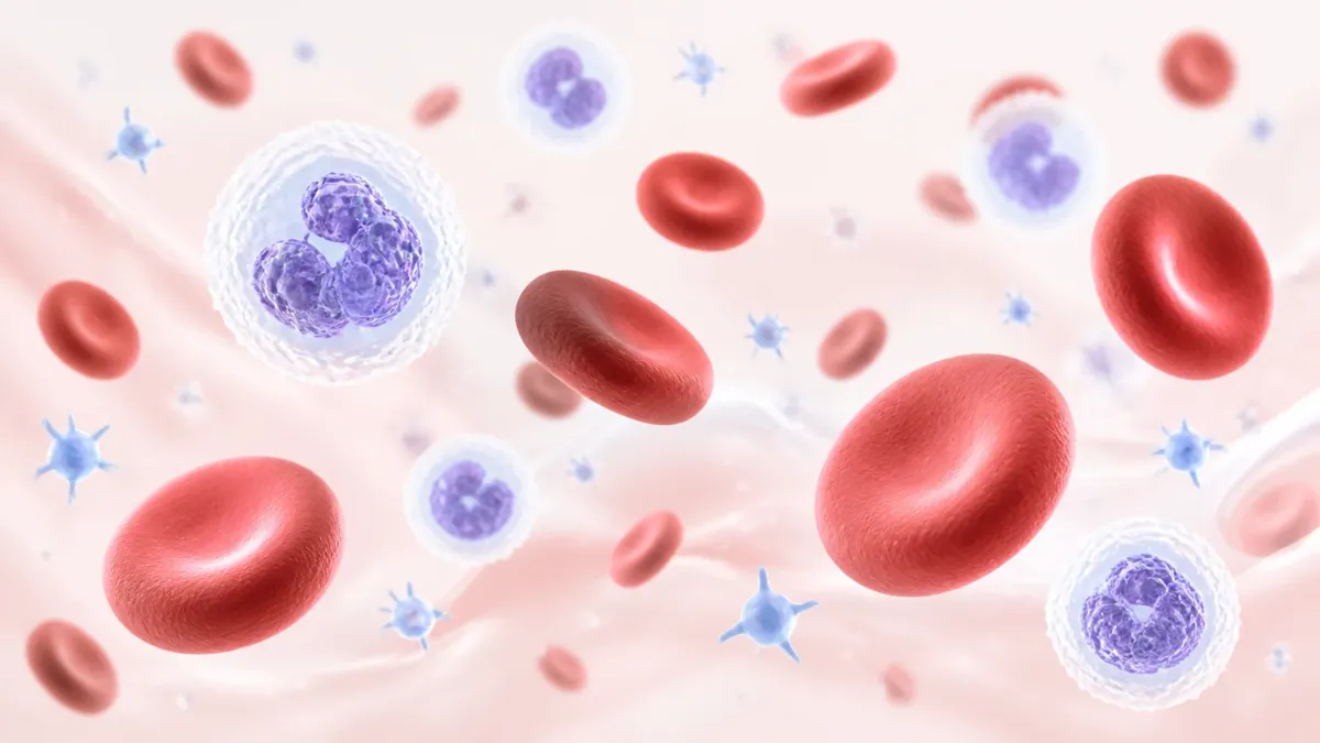 Ilustración de glóbulos rojos, glóbulos blancos y plaquetas que mide un hemograma